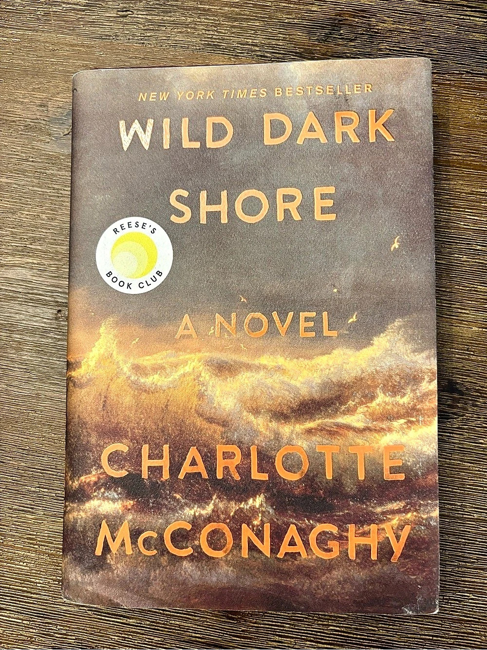 Flatiron Books Wild Dark Shore Novel Brown Hardcover Book